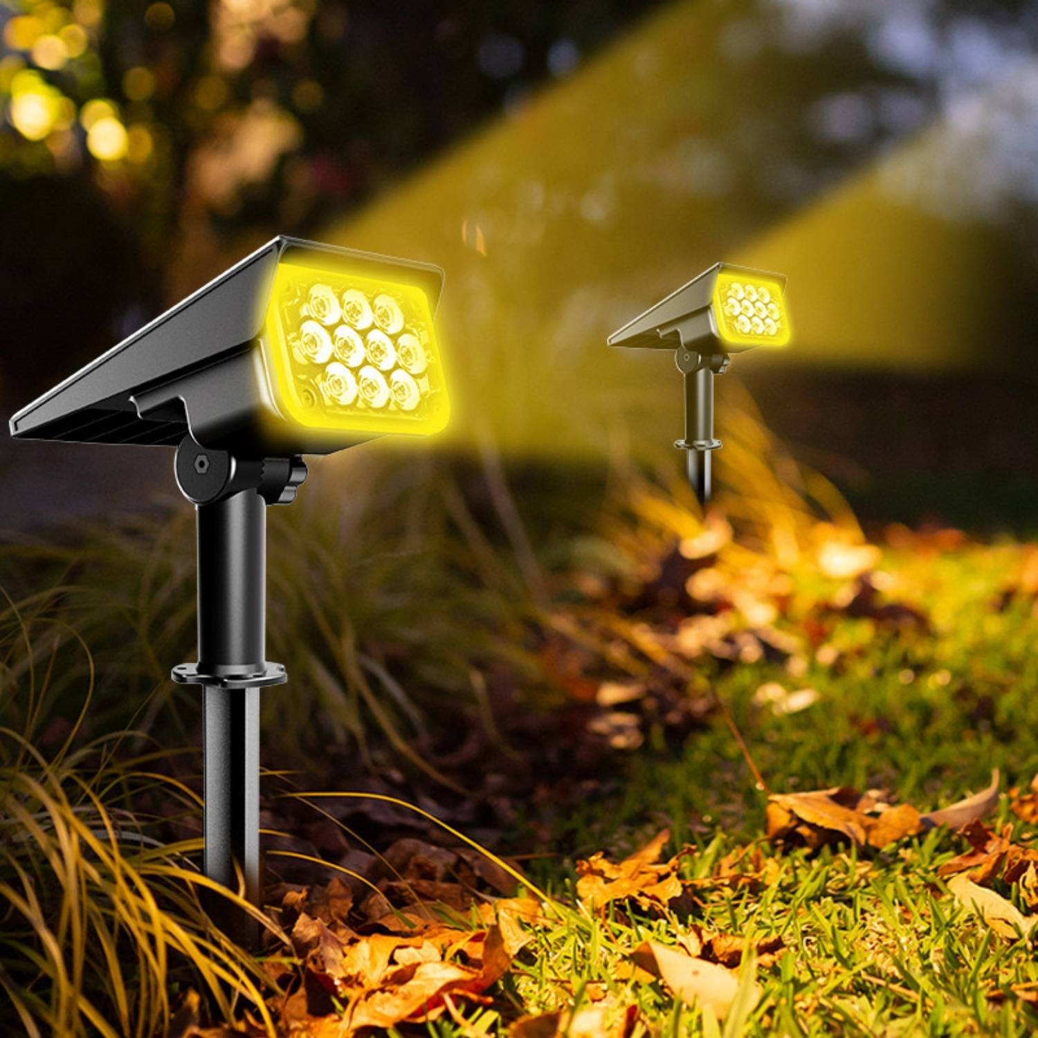Solar Spot Light